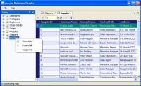 MS Access Viewer